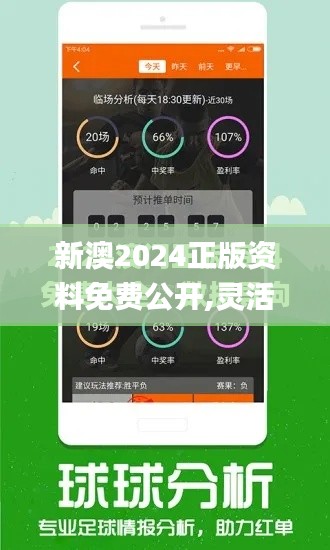 新澳2024正版资料免费公开,灵活解析执行_XR15.468