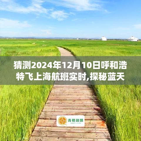 梨花带雨 第3页