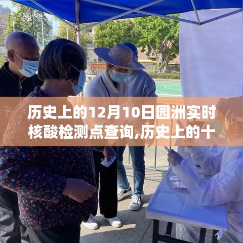 历史上的十二月十日，园洲实时核酸检测点查询的重要性与争议