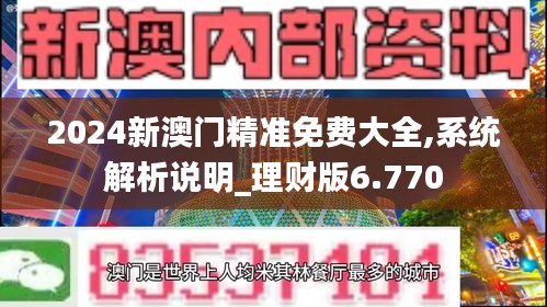 2024新澳门精准免费大全,系统解析说明_理财版6.770