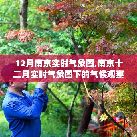 三足鼎立 第2页