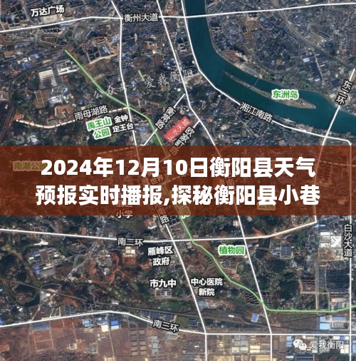 探秘衡阳县小巷深处的独特小店，天气预报揭秘与实时播报