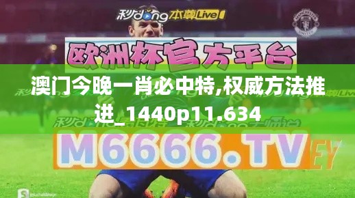 澳门今晚一肖必中特,权威方法推进_1440p11.634