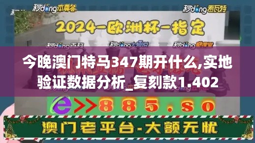 今晚澳门特马347期开什么,实地验证数据分析_复刻款1.402