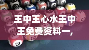 王中王心水王中王免费资料一,理论解答解析说明_桌面版5.937
