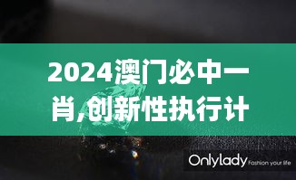 云屯鸟散 第2页