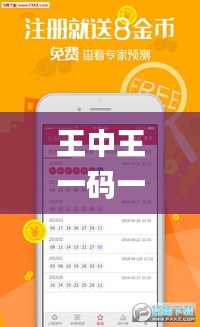 王中王一码一肖一特一中2024年,理论分析解析说明_挑战款12.232