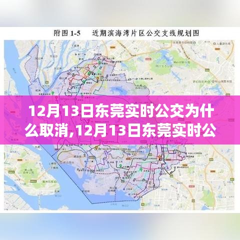 攀高接贵 第2页