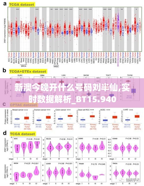 新澳今晚开什么号码刘半仙,实时数据解析_BT15.940