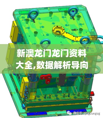 新澳龙门龙门资料大全,数据解析导向设计_经典版5.617