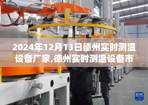 德州实时测温设备市场前沿动态，聚焦最新技术与市场动态（2024年12月13日）