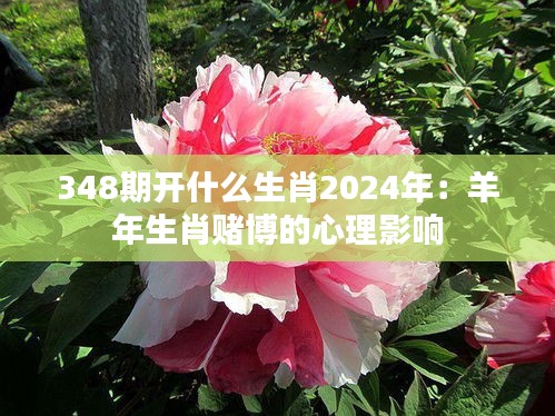 达官显贵 第2页
