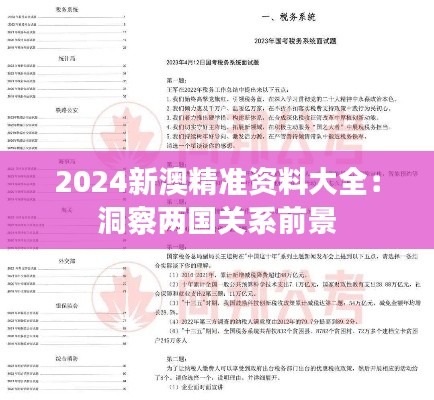 2024新澳精准资料大全：洞察两国关系前景