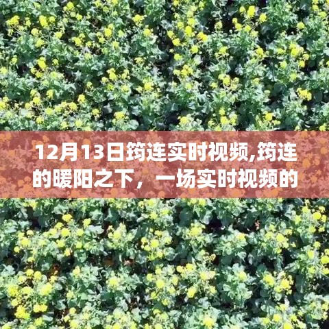 筠连暖阳下的实时视频温馨日常，12月13日现场直击