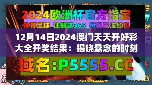 12月14日2024澳门天天开好彩大全开奖结果：揭晓悬念的时刻