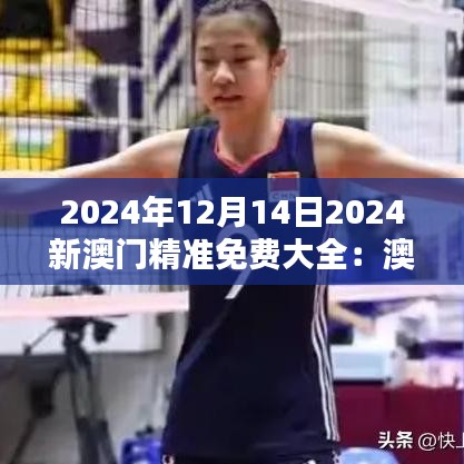 2024年12月14日2024新澳门精准免费大全：澳门的家庭友好活动与体验