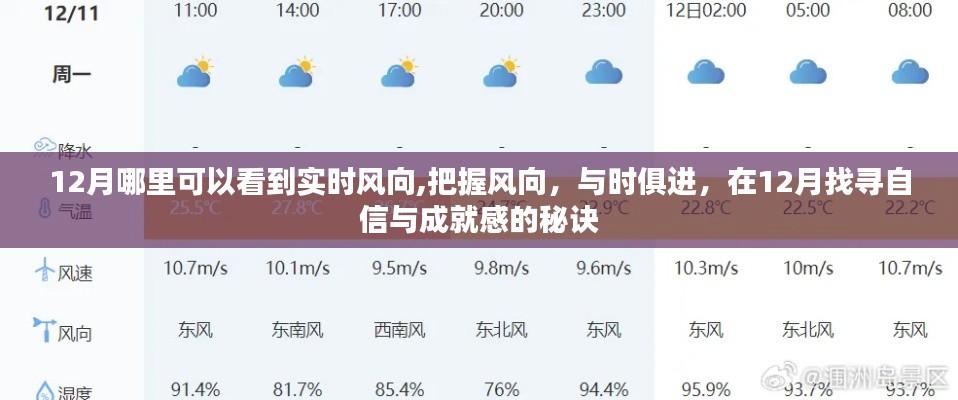 揭秘，如何在十二月把握风向，自信成就梦想？