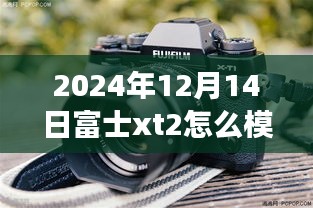 走马观花 第2页