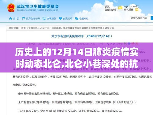 历史上的十二月十四日，北仑小巷深处的抗疫故事与特色小店的温暖时光——北仑疫情实时动态观察