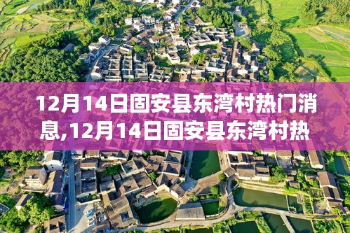 揭秘固安县东湾村最新动态，乡村发展先机一窥究竟