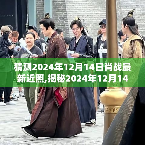 揭秘肖战2024年最新近照，星光魅力不减，风采依旧闪耀