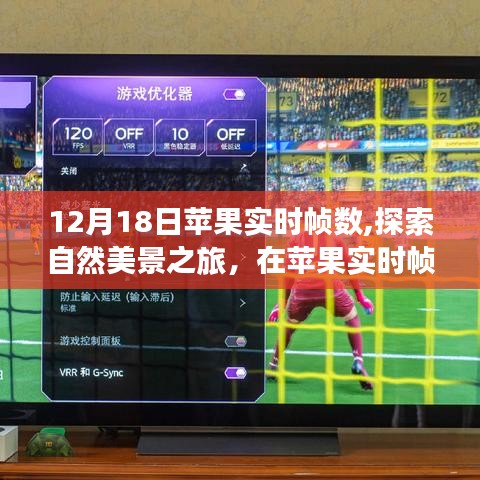 十年磨剑 第2页