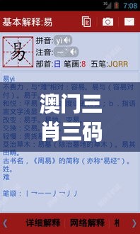 澳门三肖三码精准100%新华字典：解密赌场术语与策略指南