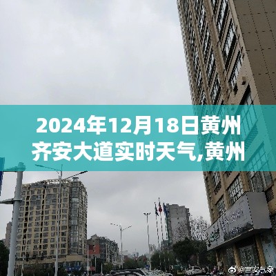 黄州齐安大道冬日暖阳下的实时天气播报，美好时光记录