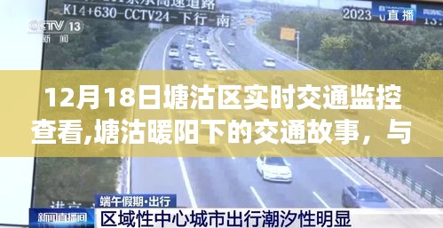 塘沽区暖阳下的实时交通故事，与朋友的相伴与交通监控的实时观察