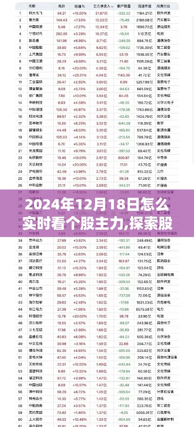 揭秘股市主力动向，如何在自然怀抱中实时追踪个股主力至2024年12月18日？
