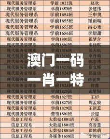 澳门一码一肖一特一中,经典解释落实_2D4.208