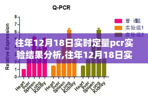 张灯结彩 第2页