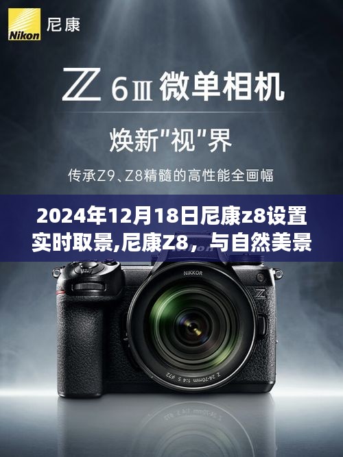 还朴反古 第2页
