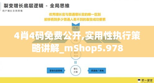4肖4码免费公开,实用性执行策略讲解_mShop5.978