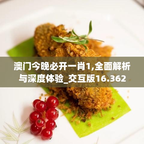 澳门今晚必开一肖1,全面解析与深度体验_交互版16.362