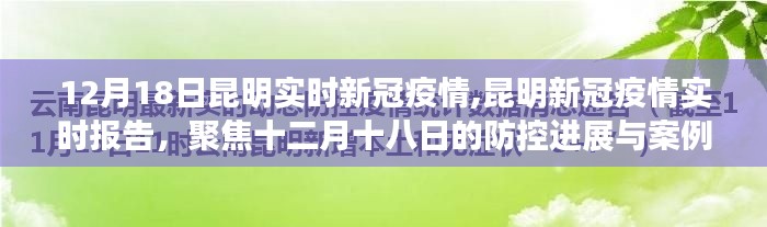 昆明新冠疫情实时报告，十二月十八日的防控进展与案例分析聚焦