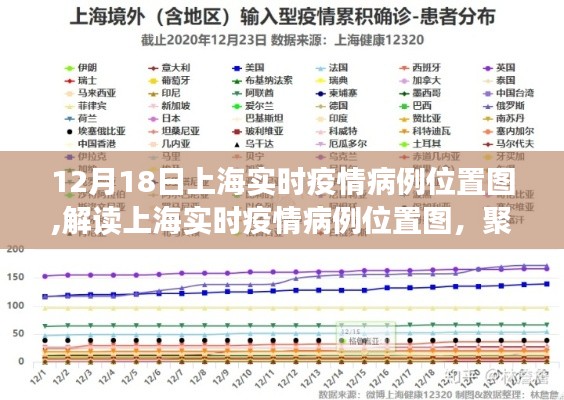 上海实时疫情病例位置图解析，数据背后的真相与启示