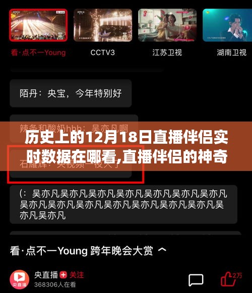 直播伴侣的神奇一天，历史上的温馨瞬间与实时数据回顾
