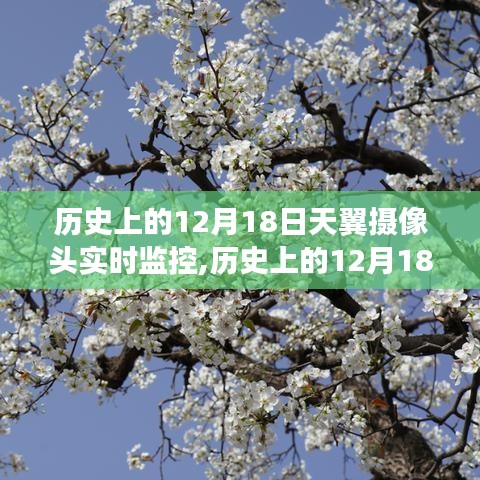 历史上的12月18日，天翼摄像头实时监控指南与详细步骤