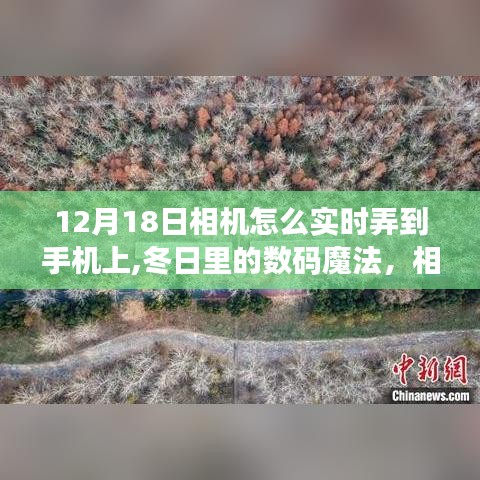 大雅君子 第2页