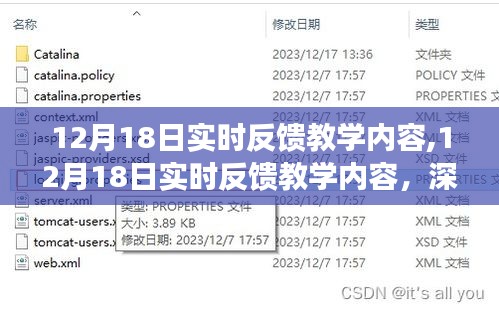 深度探索与互动体验，12月18日实时反馈教学内容详解