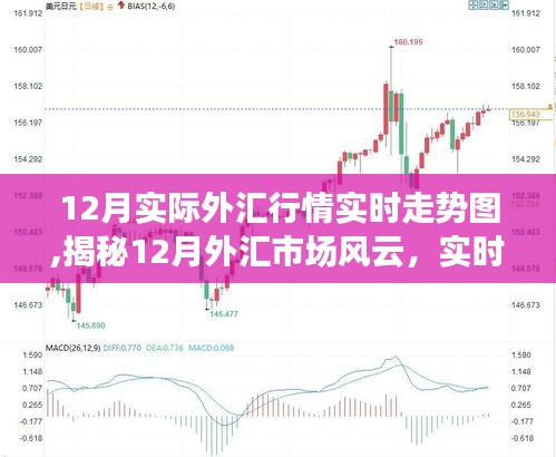 揭秘十二月外汇市场风云，实时走势图解析与案例分析
