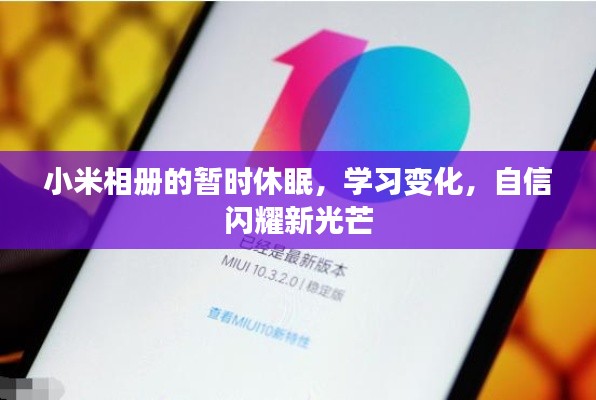 小米相册休眠背后的学习变革与自信新光芒