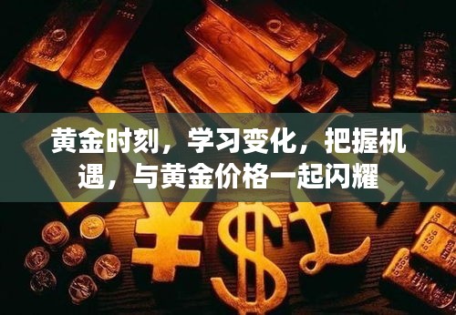 黄金时刻，学习、变化与把握机遇，共赴黄金价格的闪耀之旅