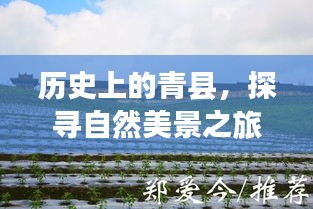探寻青县历史自然美景之旅，十二月十八日寻找内心的宁静