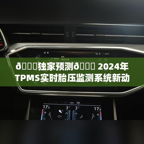 独家揭秘，2024年TPMS实时胎压监测系统最新动态展望