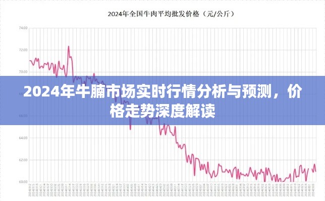 色厉内荏 第2页