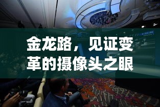 金龙路，摄像头之眼见证城市变革