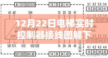 笼中之鸟 第2页