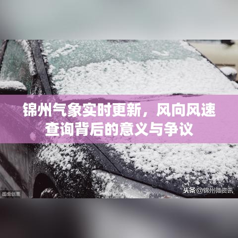 笨鸟先飞 第2页